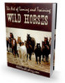 Thumbnail The Art of Taming and Training Wild Horses (PLR)