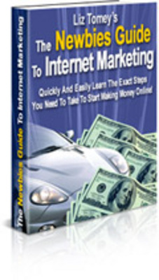 Product picture The Newbies Guide To Internet Marketing