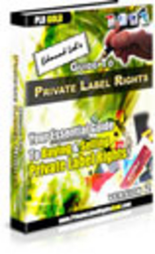 Product picture Guide to PLR
